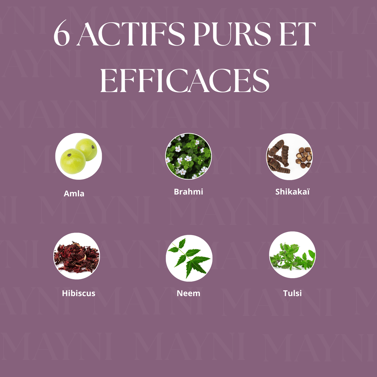 Shampoing solide revitalisant