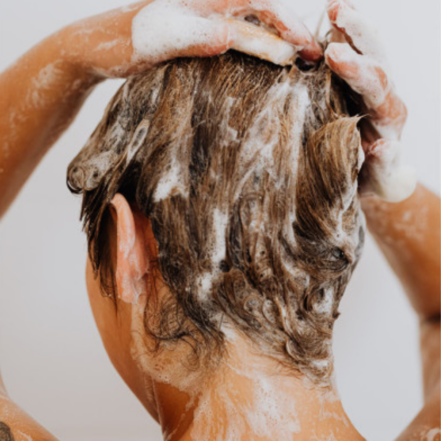 Shampoing solide revitalisant
