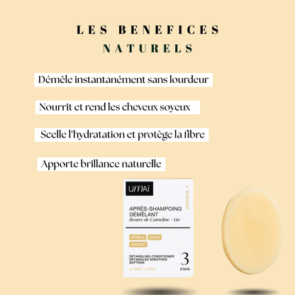 Après-shampoing démêlant