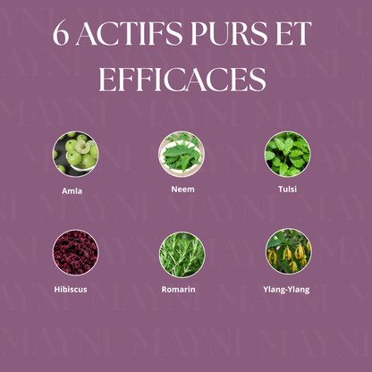 Gel douche ayurvédique aux 16 plantes actives