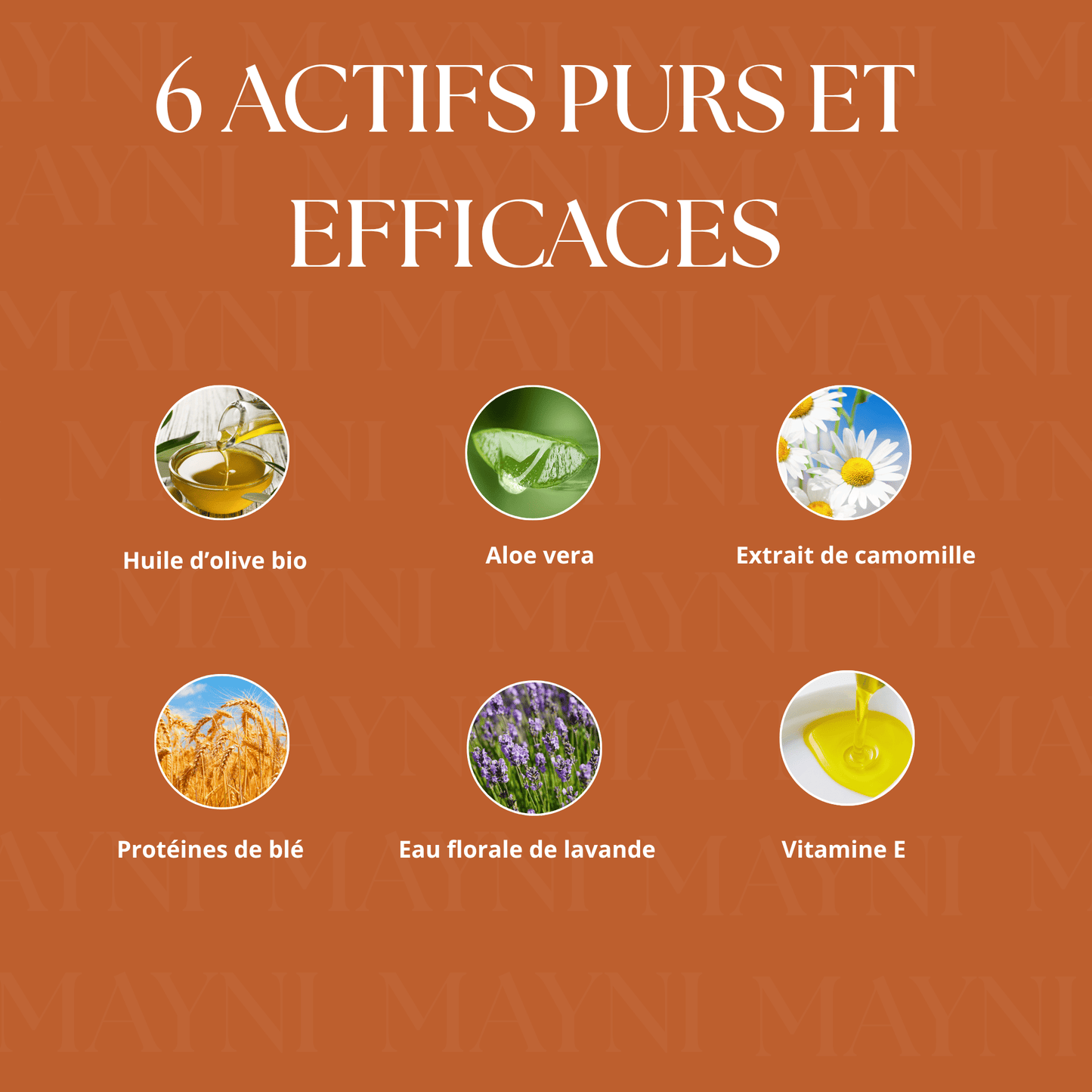 Shampoing Premium Bio  Cheveux Fins & Normaux